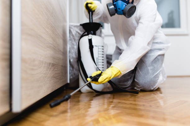 Best Pest Control Near Me  in Grover, WY