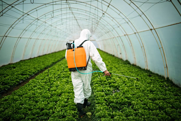 Best Affordable Pest Control Services  in Grover, WY