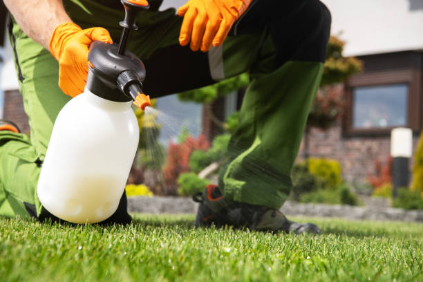 Reliable Grover, WY Pest Control Solutions