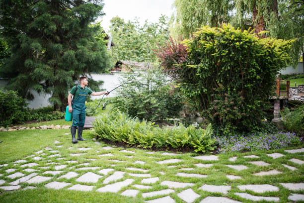 Best Affordable Pest Control Services  in Grover, WY