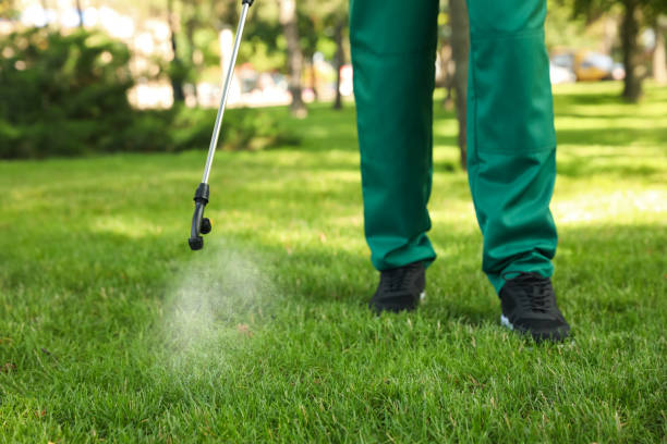 Best Pest Prevention Services  in Grover, WY