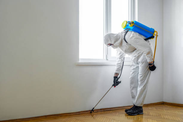 Best Bed Bug Extermination  in Grover, WY
