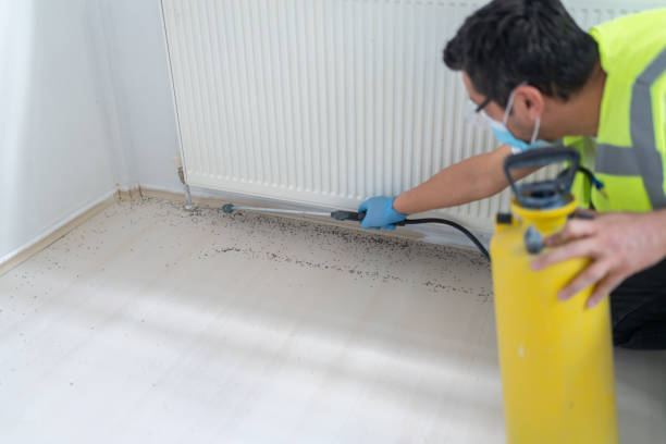 Best Wasp Removal Services  in Grover, WY