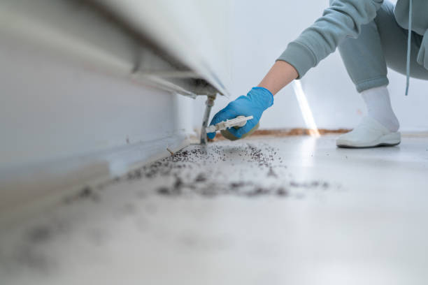 Best Residential Pest Control  in Grover, WY