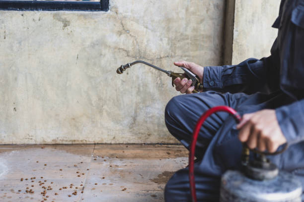 Best Affordable Exterminators  in Grover, WY